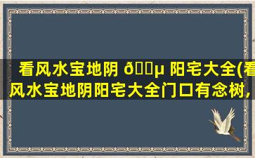 看风水宝地阴 🌵 阳宅大全(看风水宝地阴阳宅大全门口有念树,杏 🌼 树好不好)